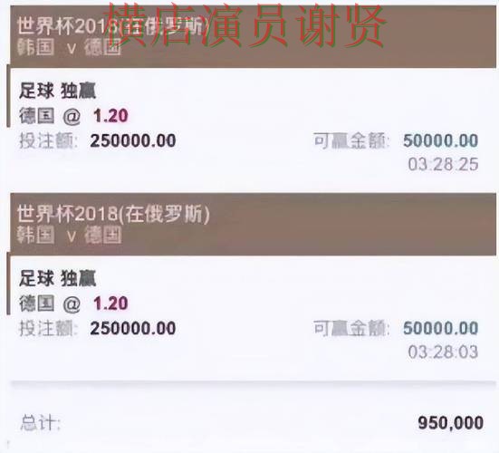 世界杯官方信息期间热门世界杯投注平台推荐推荐与直播入口分析